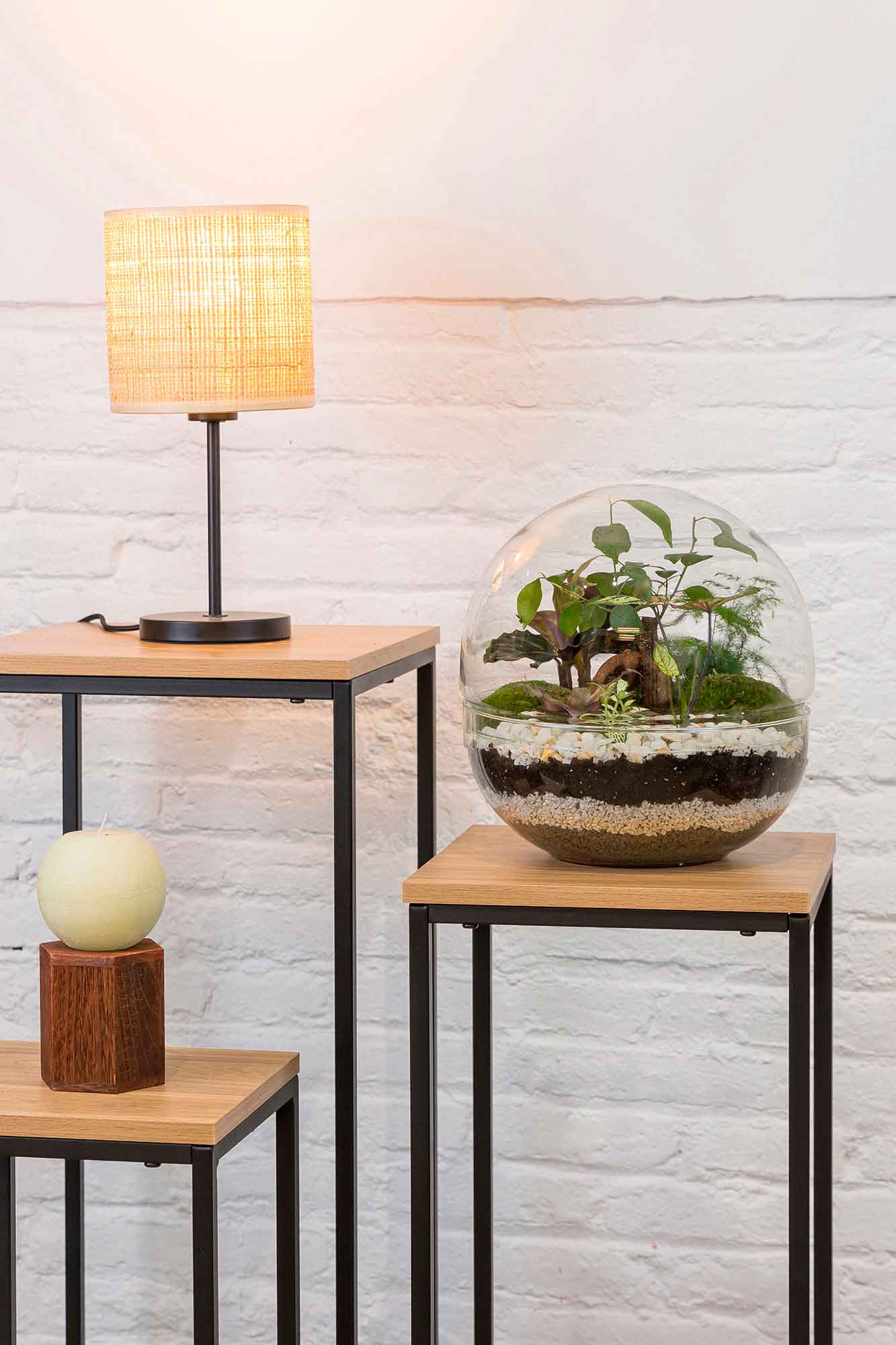 Terrario plantas Greener (28x28cm)