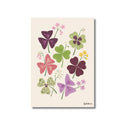 Lámina de ilustración botánica de tréboles de Oxalis morados, rosas y verdes con flores sobre fondo crema